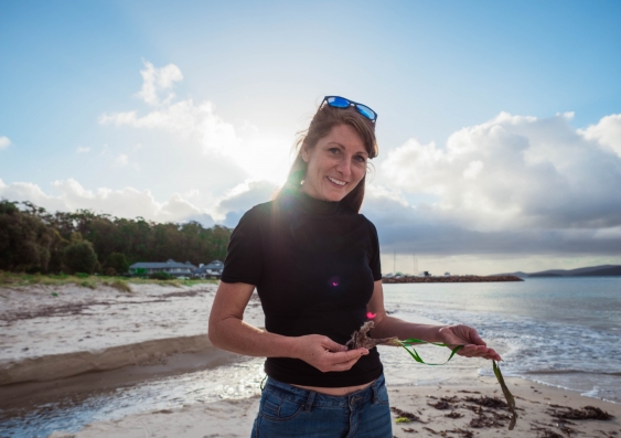 UNSW PhD student Lana Kajlich finds living Posidonia australis washed ashore. Picture: Harriet Spark